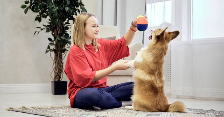A young woman with blonde hair, wearing a red t-shirt, sits on a patterned rug and trains her Pembroke Welsh Corgi. She holds a colorful toy high, and the dog is sitting on its hind legs, reaching up with its paw while looking at the toy. A large potted plant is in the background.