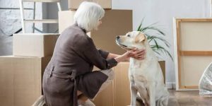 An older woman with short white hair crouching down to gently hold the face of a cream-colored dog, surrounded by stacked cardboard moving boxes, a plant, and a framed picture leaning against a wall in a bright room.