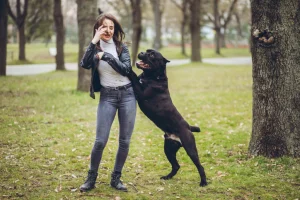 A woman wearing a black leather jacket and jeans standing in a grassy park, playfully dodging a large black dog that is jumping up on its hind legs with its mouth open, while she holds one hand up near her face.