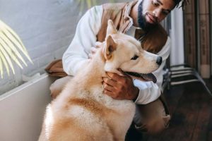 A man with a beard wearing a white shirt and a brown vest kneeling down and gently petting the chest of a light cream-colored dog, which is sitting beside him with its mouth open and looking to the side in a bright indoor setting.