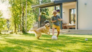 A young boy with curly hair wearing a grey t-shirt and yellow shorts playing soccer in a sunny backyard, running towards a white ball while a Golden Retriever runs excitedly beside him, with a house and trees in the background.
