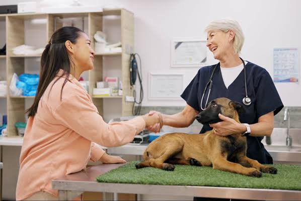 A smiling female veterinarian with short white hair and a stethoscope around her neck shaking hands with a woman in a peach shirt across an examination table, while a brown and black dog lies calmly on a green mat beside them in a bright clinic.