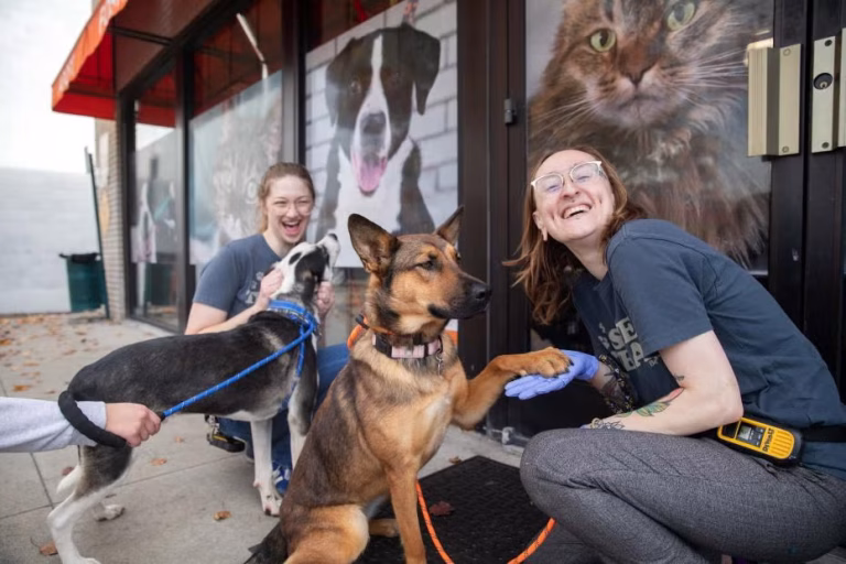 Two smiling women crouching on a sidewalk outside a storefront, one shaking a brown and black dog's paw while wearing a blue disposable glove, with a second black and white dog on a blue leash nearby, and large window decals of a dog and a cat behind them.