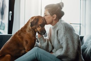 A woman wearing glasses and a chunky grey knit sweater sitting indoors, gently pressing her lips to the top of a brown dog's head in an affectionate kiss, with natural light streaming through a large window behind them.