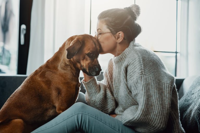 A woman wearing glasses and a chunky grey knit sweater sitting indoors, gently pressing her lips to the top of a brown dog's head in an affectionate kiss, with natural light streaming through a large window behind them.