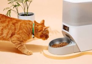 An orange tabby cat wearing a green collar, seen in profile as it bends down to eat dry kibble from a silver metal bowl attached to a white automatic pet feeder on a light-colored surface.