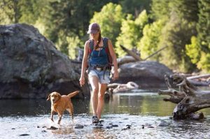 A person wearing a blue backpack and denim shorts walking outdoors on a sunny day, accompanied by a small golden-colored dog trotting alongside them near a rocky area and body of water.